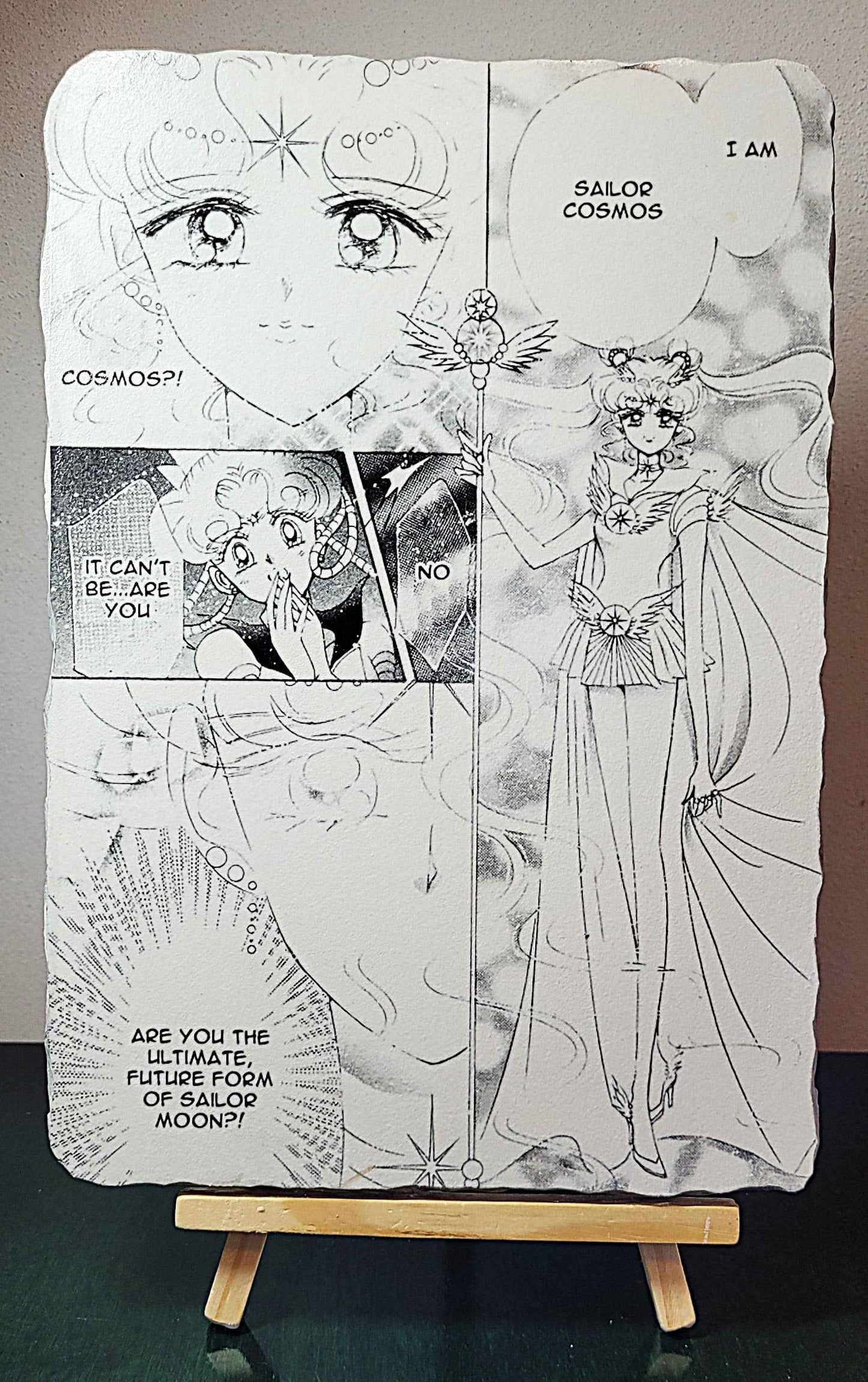 Sailor Moon Cosmos Wall Art