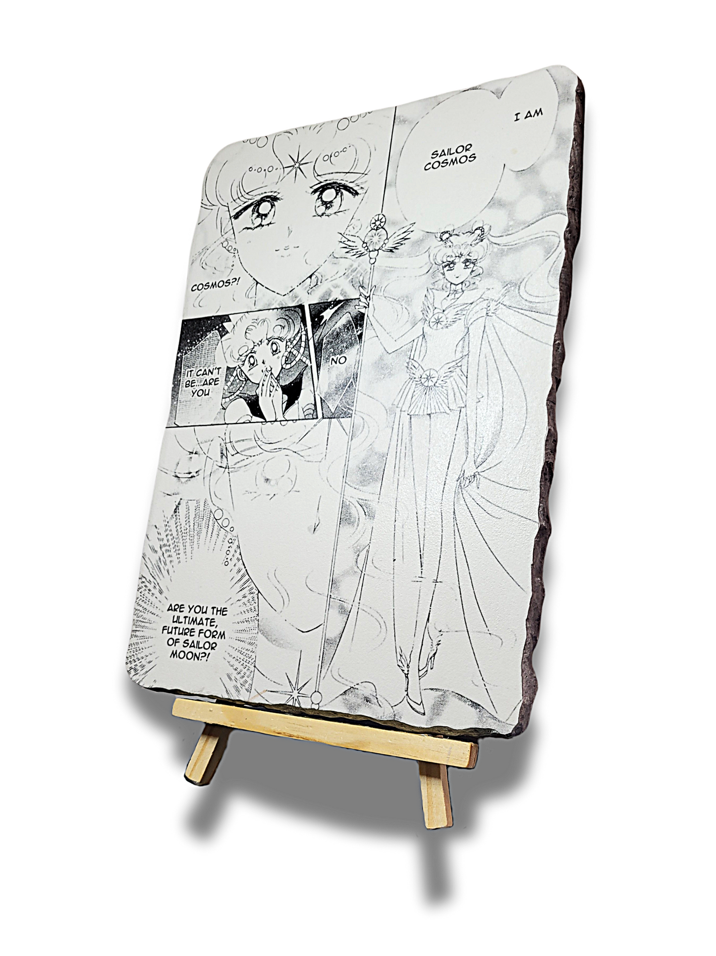 Sailor Moon Cosmos Wall Art