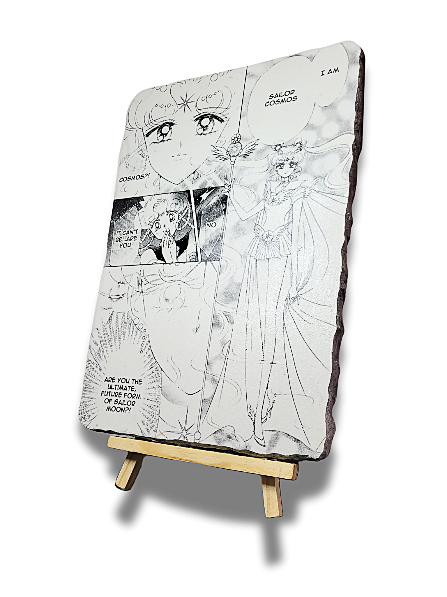 Sailor Moon Cosmos Wall Art
